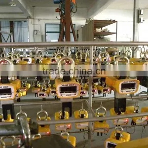 5ton Weighing Crane Electron Digit Scale thumbnail-2