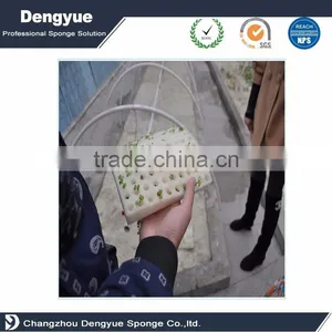 50x 1.5" CUBIC SPONGES FOR HYDROPONICS AEROPONICS PLANT GROW NET POT BASKET CUP thumbnail-1