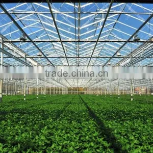 ISO9001 Quality Insurance Polycarbonate PC Sheet Greenhouse for Agriculture and Commercial Use thumbnail-4