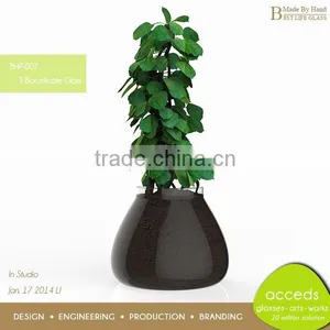 Clear Glass Hydroponic Pot thumbnail-5