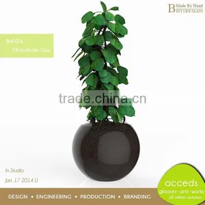 Clear Glass Hydroponic Pot thumbnail-4