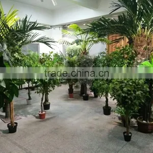 China Factory Supply Artificial Plants thumbnail-2