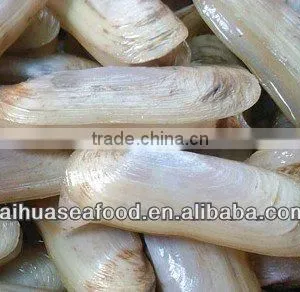 Frozen Cooked Razor Clam thumbnail-1