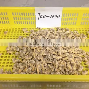 Tip-top Quality Frozen Short Necked Clam Meat thumbnail-6