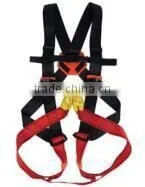 EN Standard Safety Harness thumbnail-3