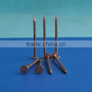 Galvanized Square Boat Nails thumbnail-1