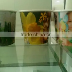 Big Paper Cup Planting,Paper Pot,Planting Cup thumbnail-1
