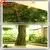 2015wholesale High Quality Artificial Banyan Tree Artificial Ficus Plants Customize Artificial Large Tree thumbnail-6