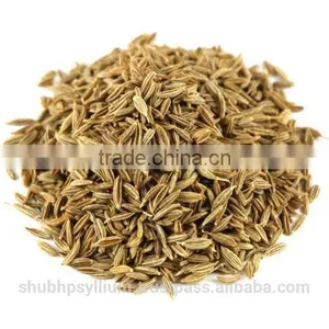 Cumin Seed Whole thumbnail-1