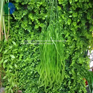Newest Artificial Grass Green Wall for Decoration thumbnail-1