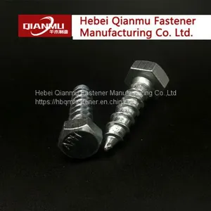 HEX HEAD LAG Wood Screw of Standard DIN571 Galvanized Wood Screw thumbnail-4