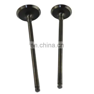 Gasoline Spare Parts Engine Valves for Kawasaki KL250 250 Zxr250 Zr250 Bikes Motorcycle thumbnail-2