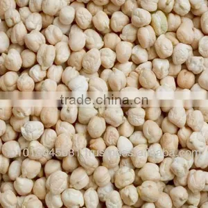 Fresh Chickpeas thumbnail-1
