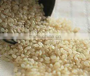 Rice Bran Basic Oil(bulk) thumbnail-1