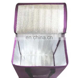 Good Quality Sell Well Non Woven Cooler Bag for Frozen Food thumbnail-1