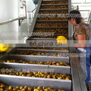 The Professional Supplier for Tomato Paste / Puree Production Line thumbnail-2