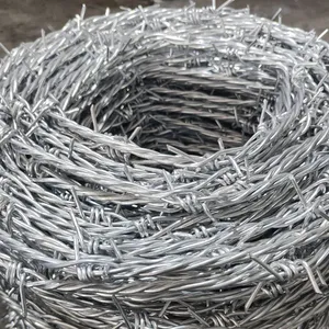 Hot-selling Fence Wire Mesh, Electro-galvanized Wire Mesh thumbnail-3