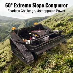 Vigorun Remote Brush Cutter Euro 5/EPA Heat-Resistant Motor Design Crawler Lawn Mower Agricultural thumbnail-1