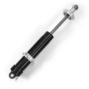 Trans Am Series Shocks thumbnail-1
