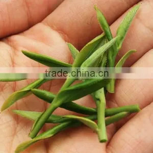 Green Tea West Lake Dragon Well thumbnail-1