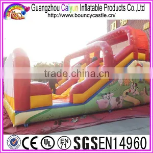 Commercial Grade Inflatable Dry Slide For Rental thumbnail-4