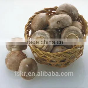 Fresh Shiitake Mushroom thumbnail-3