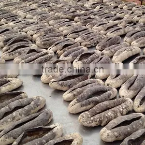 Dried Sea Cucumber, White Teat Fish, Holothuria Fuscogilva thumbnail-6