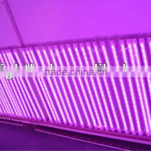 1.2m Clear PC T8 LED Plant Tubes thumbnail-1