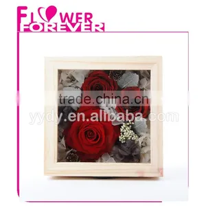 Wholesale Real Preserved Flower thumbnail-1