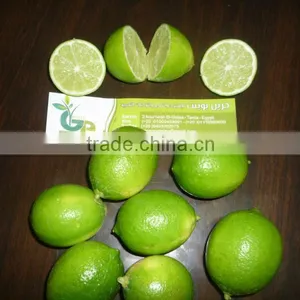 Seedless Lemon thumbnail-1