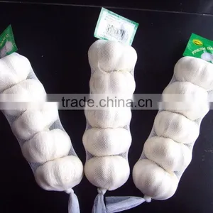 Chinese Garlic Shandong Garlic thumbnail-1