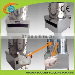 OC-50 Stainless Steel Chicken Quail Plucker Machines for Sale thumbnail-1
