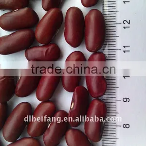 Red Kidney Bean( British Type, Heilongjiang Origin.2011 Crop,hps) thumbnail-1