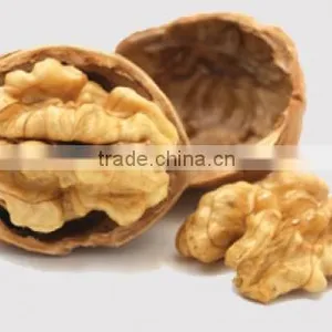 Walnut thumbnail-1