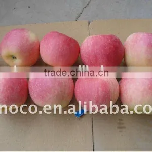 Good Quality Red Gala Apple thumbnail-1