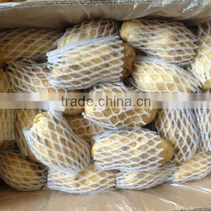 250G Size of 10KG Fresh Holland Potato thumbnail-2
