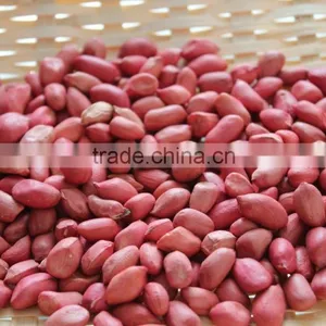 Groundnut Peanut Kernels thumbnail-5