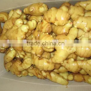 Fresh Ginger, Air Dry Fresh Ginger, Chinese Fresh Ginger Price thumbnail-3