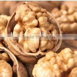 Brand Dried Walnut in Shell With Low Price Ukraine Walnut thumbnail-1