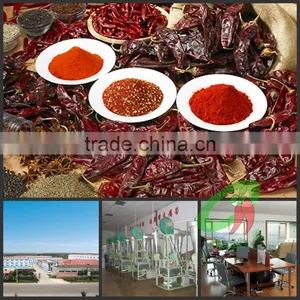 2016 New Crop High Quality Paprika Powder thumbnail-4