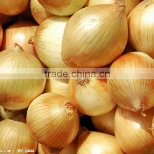 FX-128-3A High Efficiency Hot Sale Onion Peeling Peeler Machine thumbnail-5