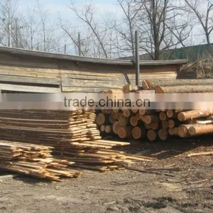 Pine, Spruce, Poplar Logs (Ukraine Odessa) thumbnail-1