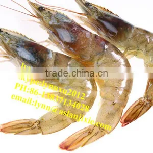 Shrimp Grading Machine/automatic Prawn Grader thumbnail-3