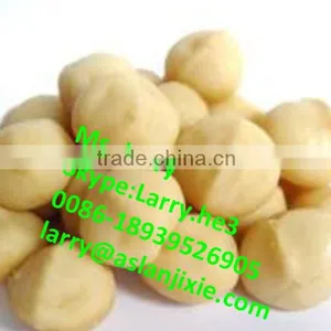 Bauple Nut Opener Machine/bauple Nut Opening Machine/bauple Nut Opener thumbnail-6
