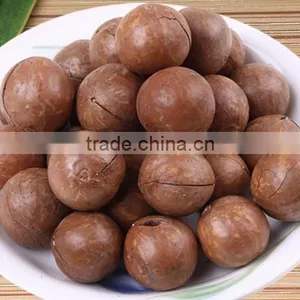 New Type Macadamia Nut Cracker Machine/macadamia Nut Opening Machine/macadamia Nut Tapping Machine thumbnail-3