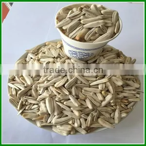 Sale Spiced White Sunflower Seeds In Bulk For Human Consumption thumbnail-2