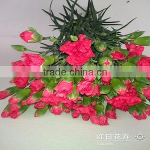 Good Quality Carnation Cut Flower Prices thumbnail-1
