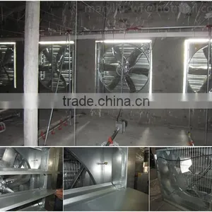 Poultry Feed Manufacturing Equipment for Broilers thumbnail-6
