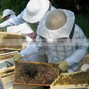 Henan Mingshengfeng Bio-Technology Co., Ltd. company overview - view 2 thumbnail
