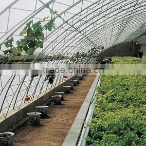 Agriculture Solar Greenhouse Structure and Profile thumbnail-1